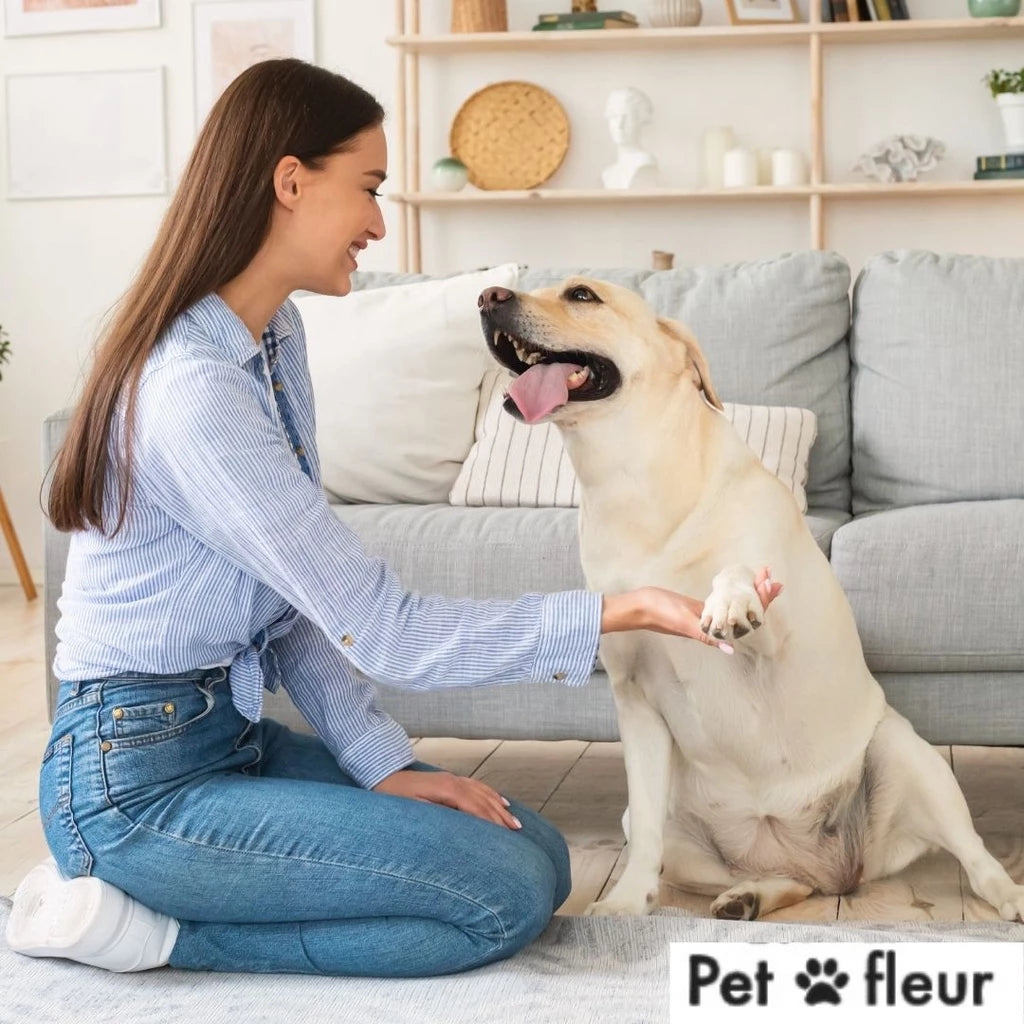 Tira Manchas E Fortes Odores Ambiente Com Cães E Gatos Antiodor enzimático - Limpa e elimina bactéria de caixas de areia para gatos- 240 ml