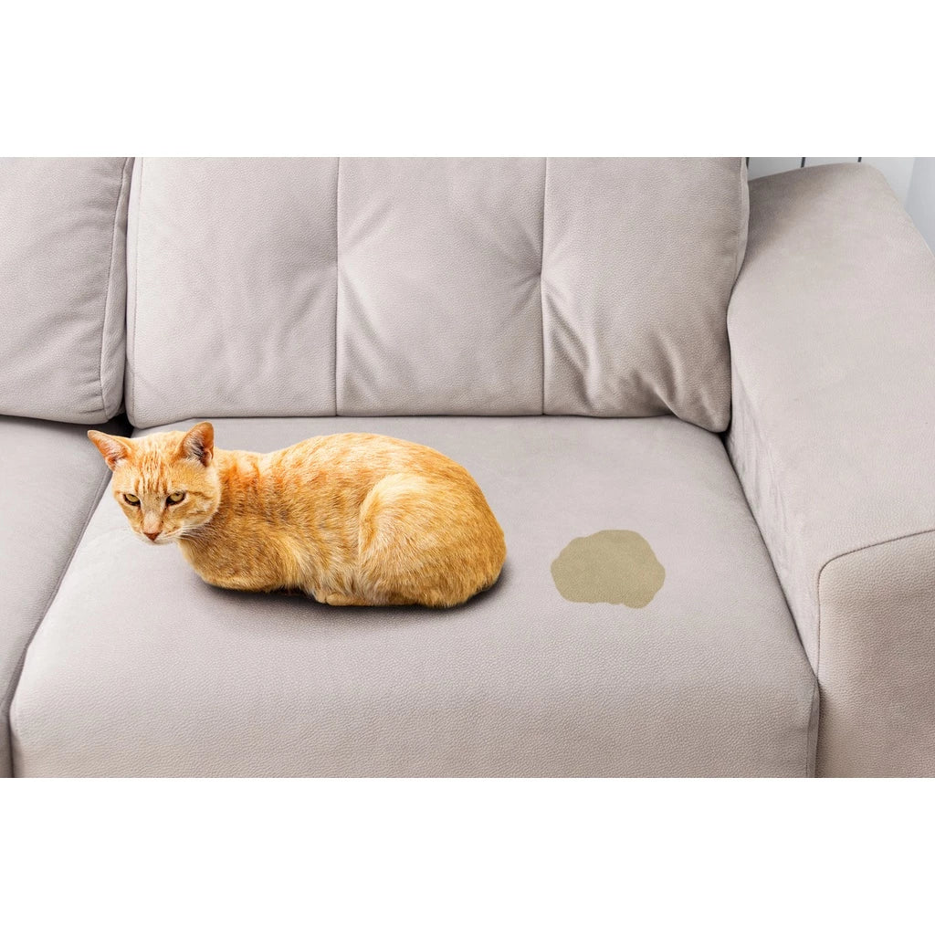 Tira Manchas E Fortes Odores Ambiente Com Cães E Gatos Antiodor enzimático - Limpa e elimina bactéria de caixas de areia para gatos- 240 ml