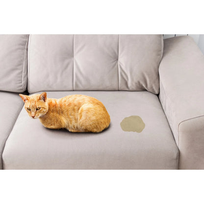 Tira Manchas E Fortes Odores Ambiente Com Cães E Gatos Antiodor enzimático - Limpa e elimina bactéria de caixas de areia para gatos- 240 ml