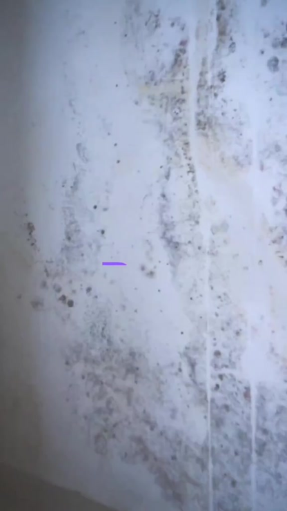 Limpa mofo bolor e fungos Etaniz 1LT