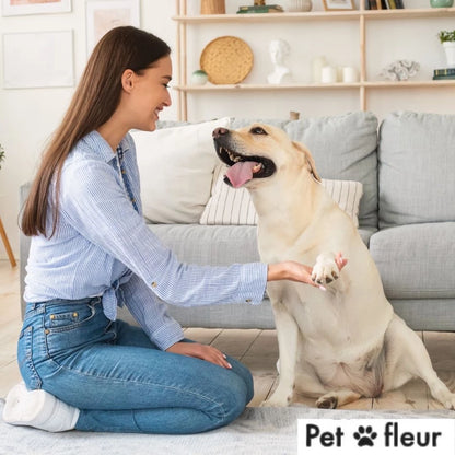 Tira Manchas E Fortes Odores Ambiente Com Cães E Gatos Antiodor enzimático - Limpa e elimina bactéria de caixas de areia para gatos- 240 ml