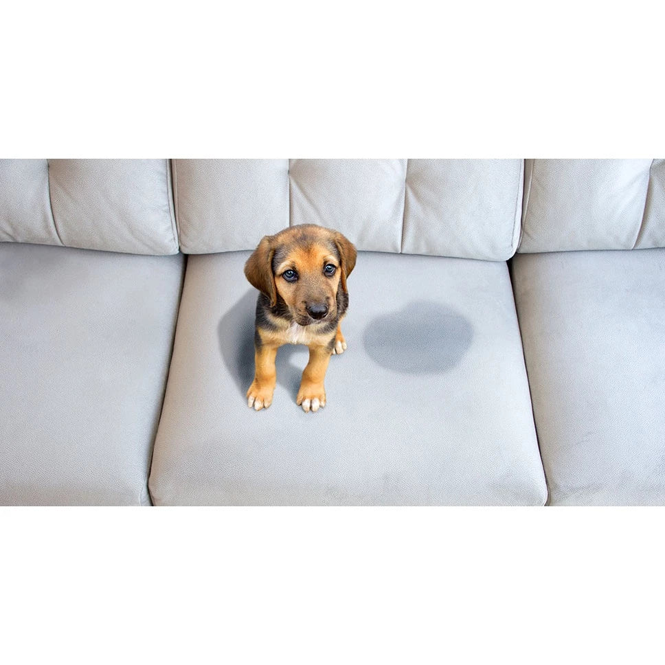 Tira Manchas E Fortes Odores Ambiente Com Cães E Gatos Antiodor enzimático - Limpa e elimina bactéria de caixas de areia para gatos- 240 ml